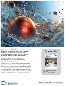 Why surface hydrophobicity promotes CO2 electroreduction: A case study of hydrophobic polymer N-heterocyclic carbenes